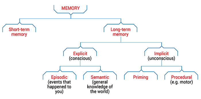 memory diagram