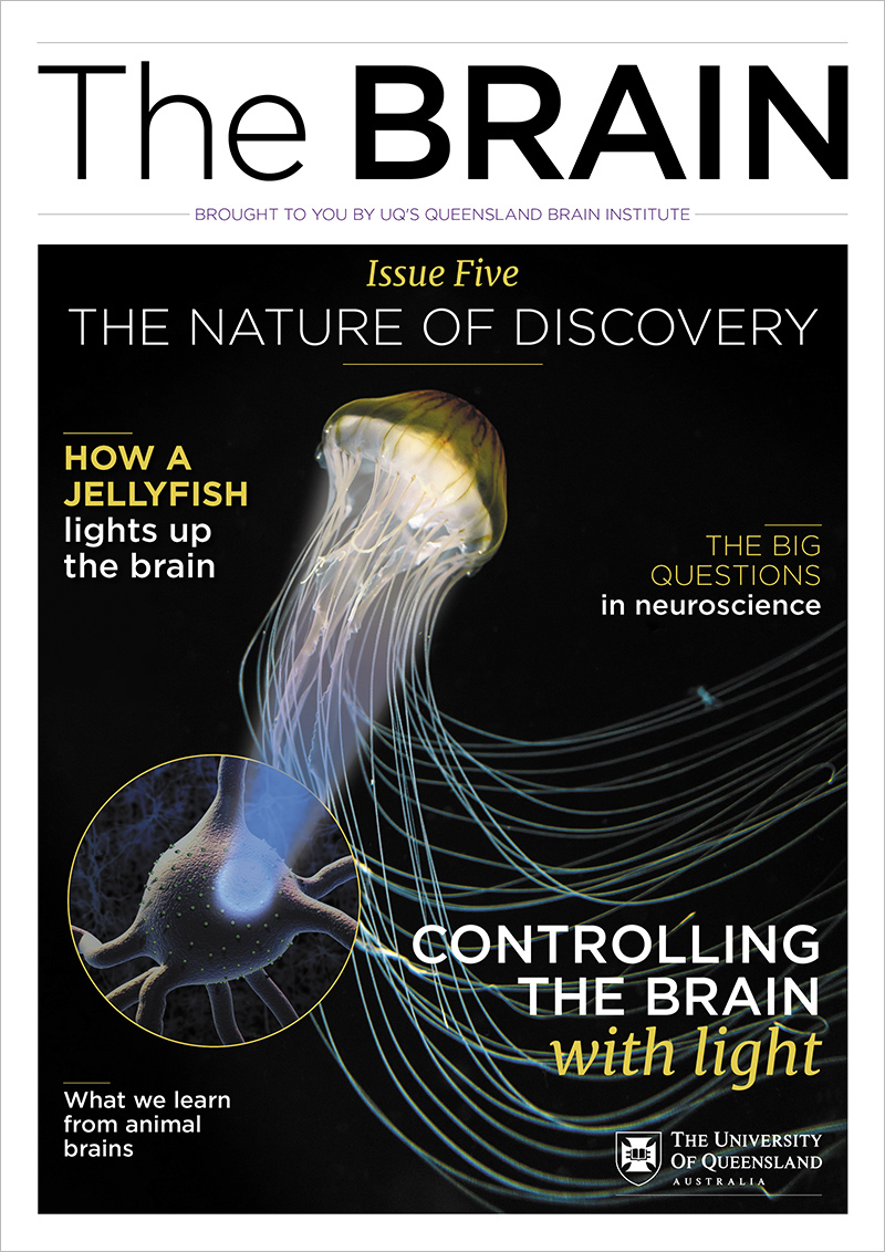 The BRAIN Nature of Discovery magazine